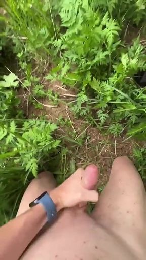 In the Forest.