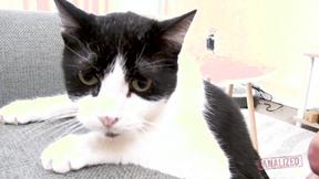 ”Analized - London River gets her butthole used”