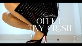 Office Tiny Brat Crushed By Giantess Boss - ONE