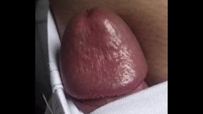 S&oacute_ a Cabe&ccedil_a da Piroca