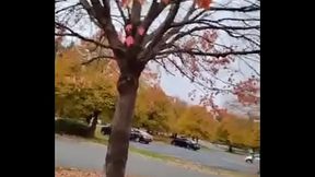 Cuming out for either June or October gay pride month about other gay looking and sounding things I did on social media once 12