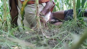 The village boy went to the cornfield and hit him hard