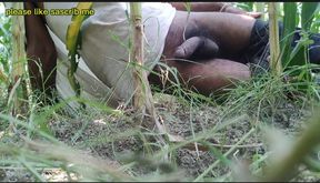 The village boy went to the cornfield and hit him hard