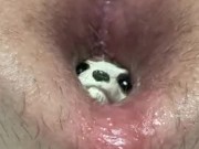 Meerkat toy's escape blocked