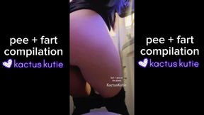 My First Pee and Fart Compilation