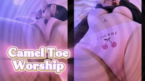Camel Toe Worship 1 - Desperate For pussy