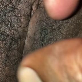 කිම්බෙ  හැඩ -pussy cat