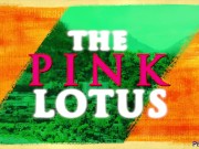 PETERFEVER The Pink Lotus Episode 1: Asses Not Ashes