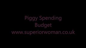 Piggy Spending Budget HD
