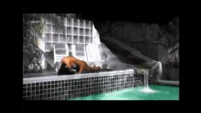 Hot masturbation by the swimming pool