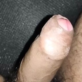 Big indian hairy dick masterbating