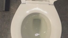 PEE FLUSH I WISH FOR DOLLAR BILL FROM EVERY MOUTH UR WISH IS GRANTED
