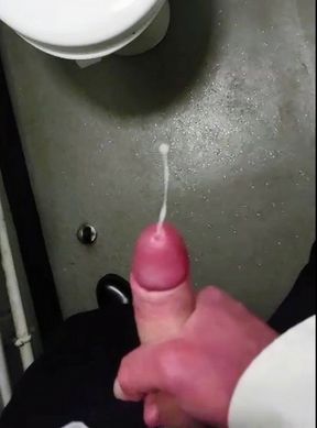 Old perv in toilets