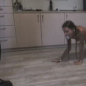 Pet Training  Boot Slave