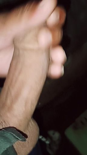 Indin desi land, jaipur vale ka cock