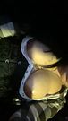 Masturbating on the  highway