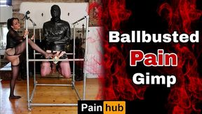 training zero ballbusting cbt pain slave