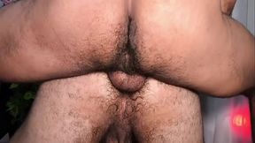 NOVINHO URSO PEDIU LEITE NO CU