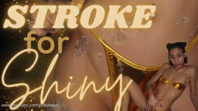Stroke to my Shiny Lingerie