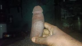 Mota mast land