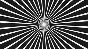Sensory Hijacking - the World Reframed Through Cock (interactive)
