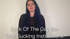 Back Of The Gay Bar Dick Sucking Instructions: Dirty Talking Fantasy
