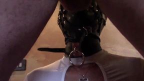 bound milf takes cock in mouth and cumshot on face