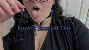 Royal's Escaped Tiny