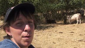 Couple fucks in the sunflower field
