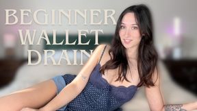 Beginner Wallet Drain