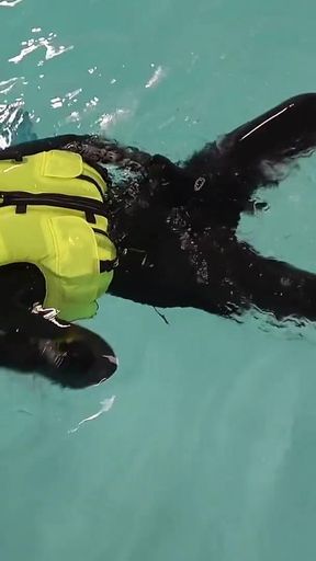 Neoprene Lust: Inflatable Snorkel Vest Pleasure in the Pool