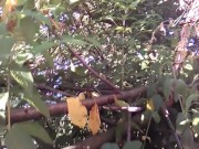 Jon Arteen goes to the park, shows his twink cock, jerks off and cums outdoors with fun