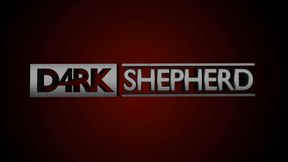 Walkthrough for Stage 1 of D4rkShepherd Introduction Animation