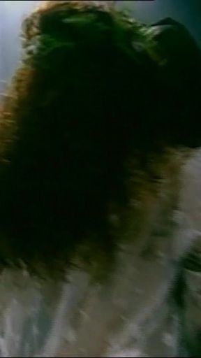 A Stranger Between My Legs