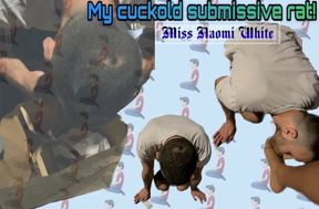 MY CUCKOLD SUBMISSIVE RAT! (ITA)