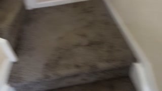 The Smell Test With Hot Blonde Girlfriend ~ Cassidy Luxe ~ Household Fantasy ~ Scott Stark