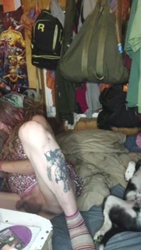 Trans sissy faggot dildos sissy pussy