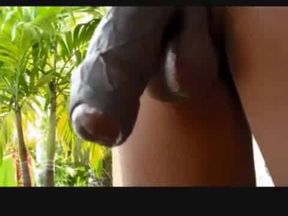 Throbbin' Black Thunder