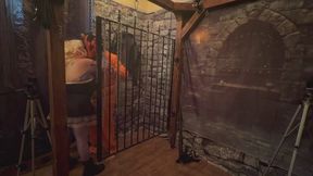 Swine Cock and Harelquin