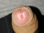 Flaccid precum foreskin play, small growing and shrinking penis play