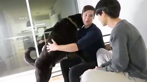 Make Enjoy My fuck-hole