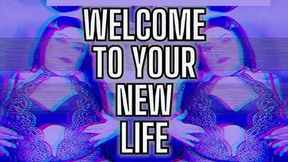 Your New Life