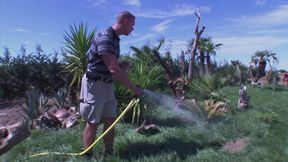 Insatiable Mature Shemales Drain Every Hard Cock in Wild Groups