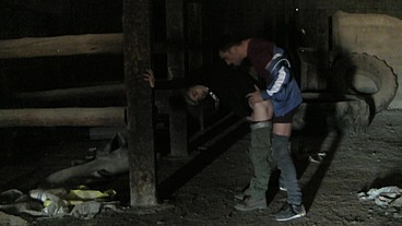 Bareback Neighbors 23