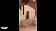 New video out. A red monster up my ass—interested?
