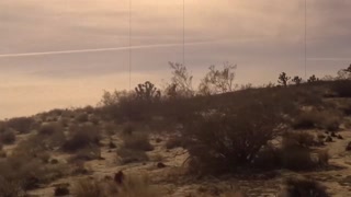 Naked In Public: Cock With No Name