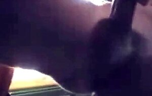 Big-Cock Twinks' Webcam Wank Compilation