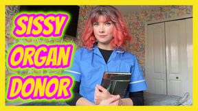 Sissy Organ Donor