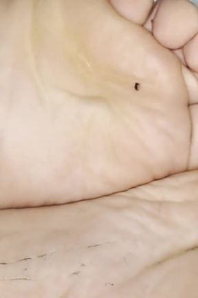 White Guy Feet Soles Worship
