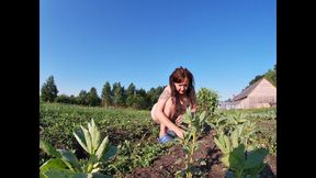 Farmer's Wife Masturbates in the Field